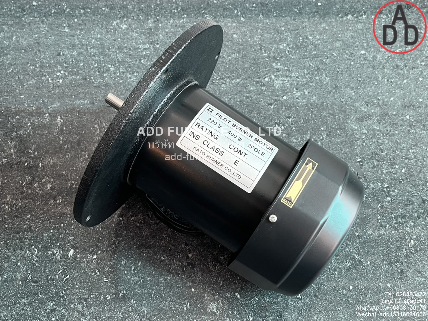 Pilot Burner Motor 220V 200W 2Pole (2)